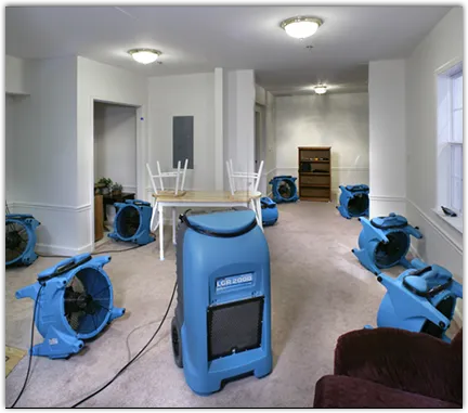 Water Mitigation Services in Norton Shores, MI