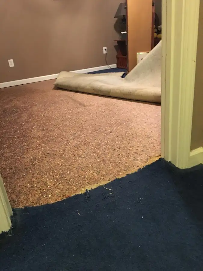 Carpet pad removal revealing water damage during Water Mitigation Services in Norton Shores